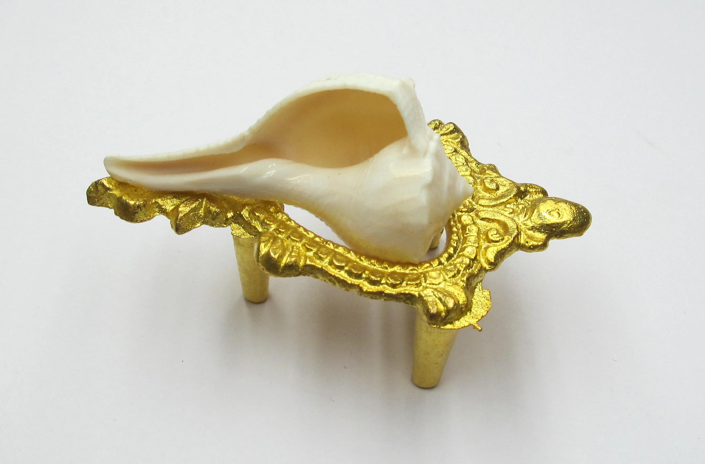 Dakshinavarti Shankh 3 - 4 Inch
