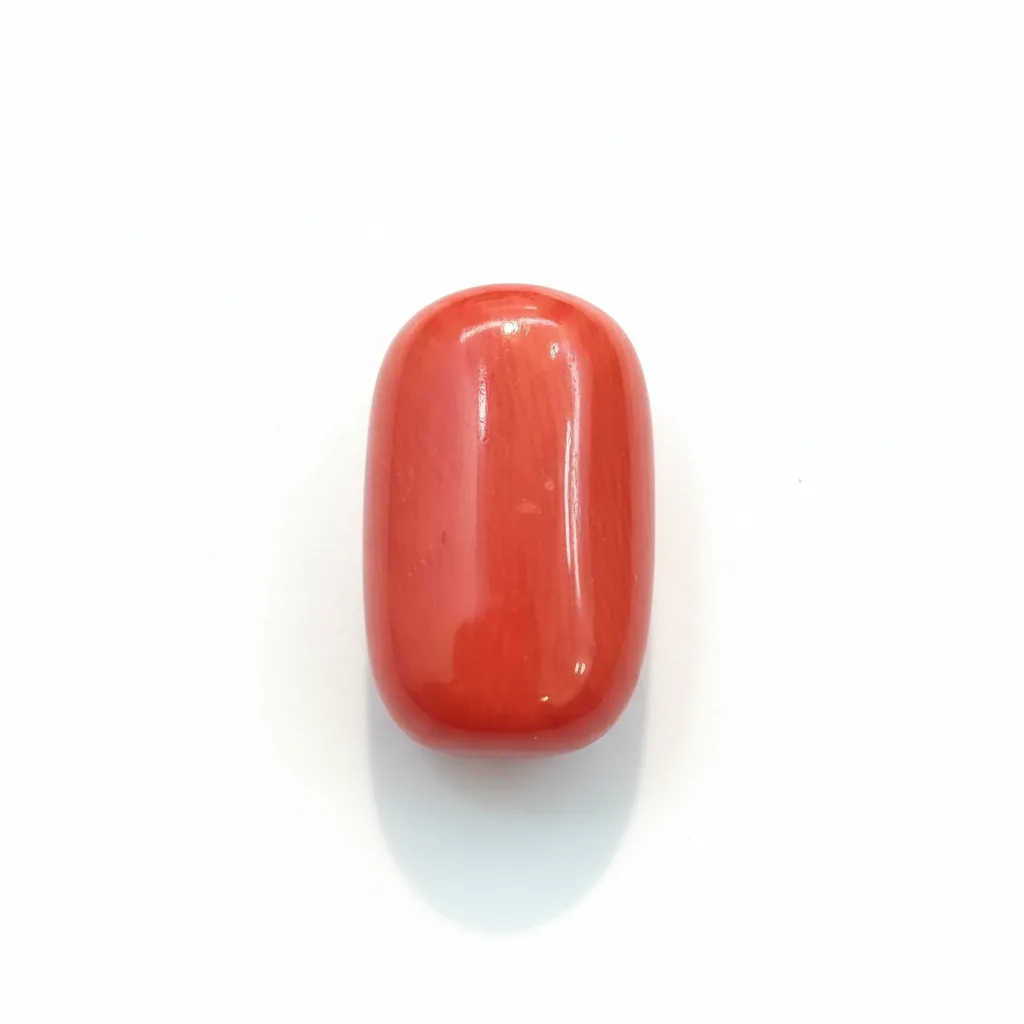 Mangal-munga Red Coral - 2